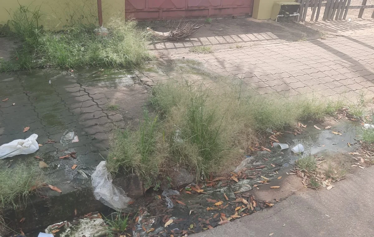 Foto: (Divulgação)